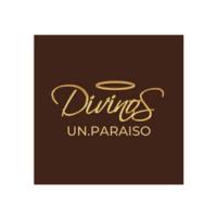 Logo Divinos